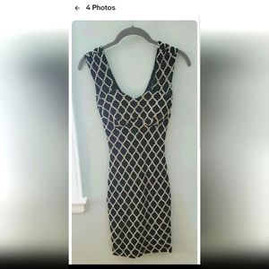 Alt B form fitted lined mesh dress